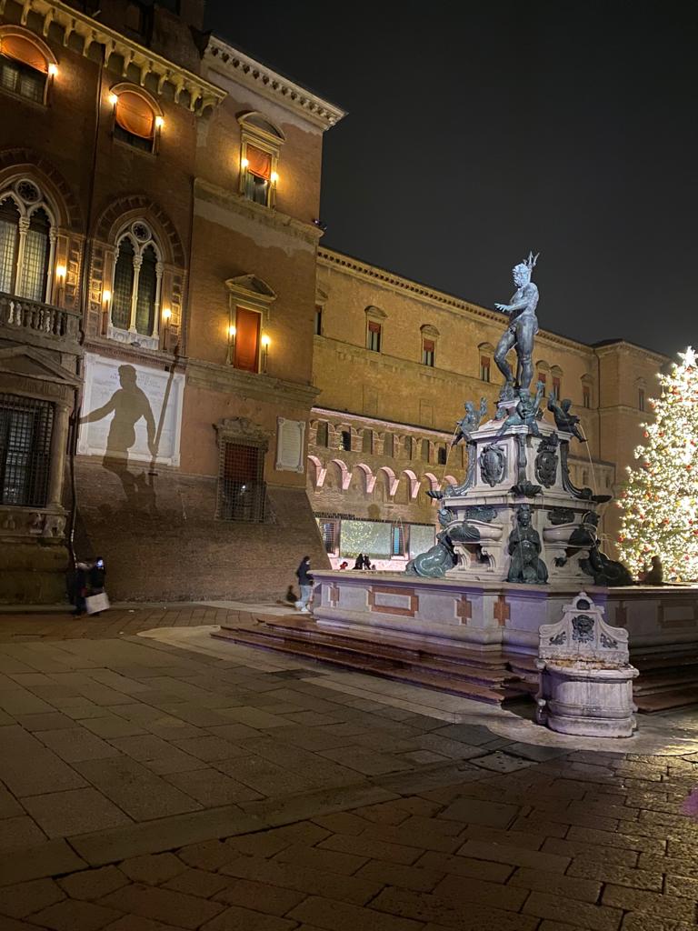 Riqualificazione dell'illuminazione del Nettuno 1