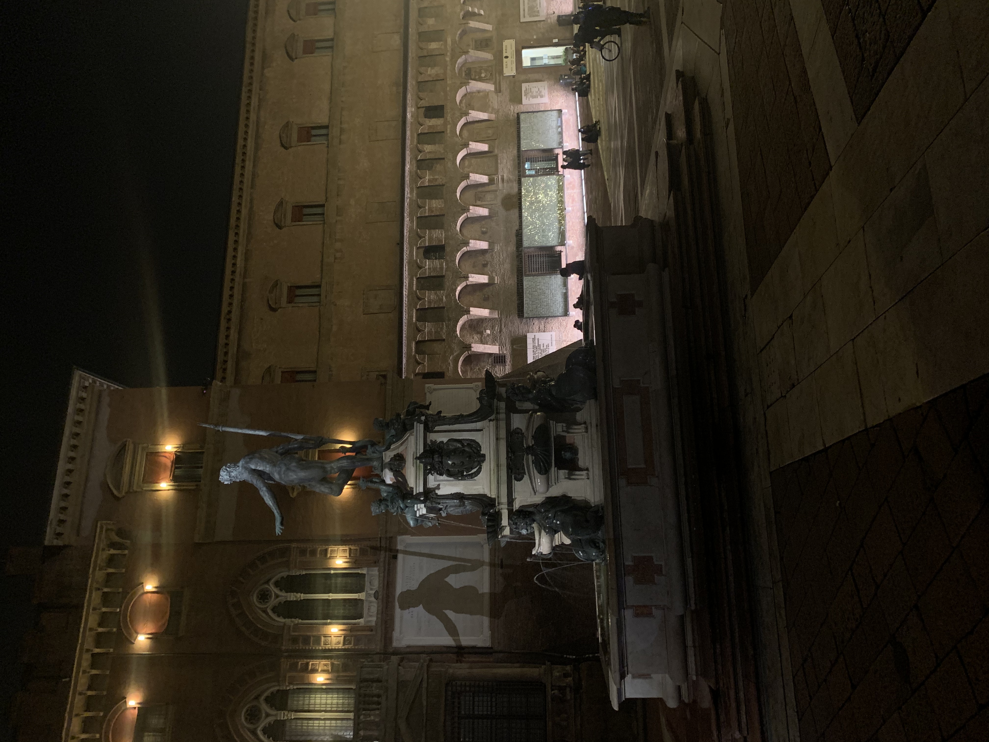 Riqualificazione dell'illuminazione del Nettuno 7